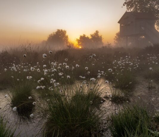Neue Ausstellung in Bad Salzuflen: Fotografien zeigen heimische Natur im Wandel