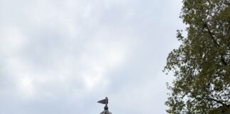 Detmold: Schlossplatz-Spielplatz wieder geöffnet
