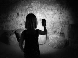 Lemgo: Taschenlampenführungen zu Halloween im Schloss Brake